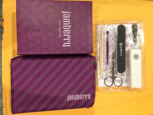 Jamberry Nail Care & heater set